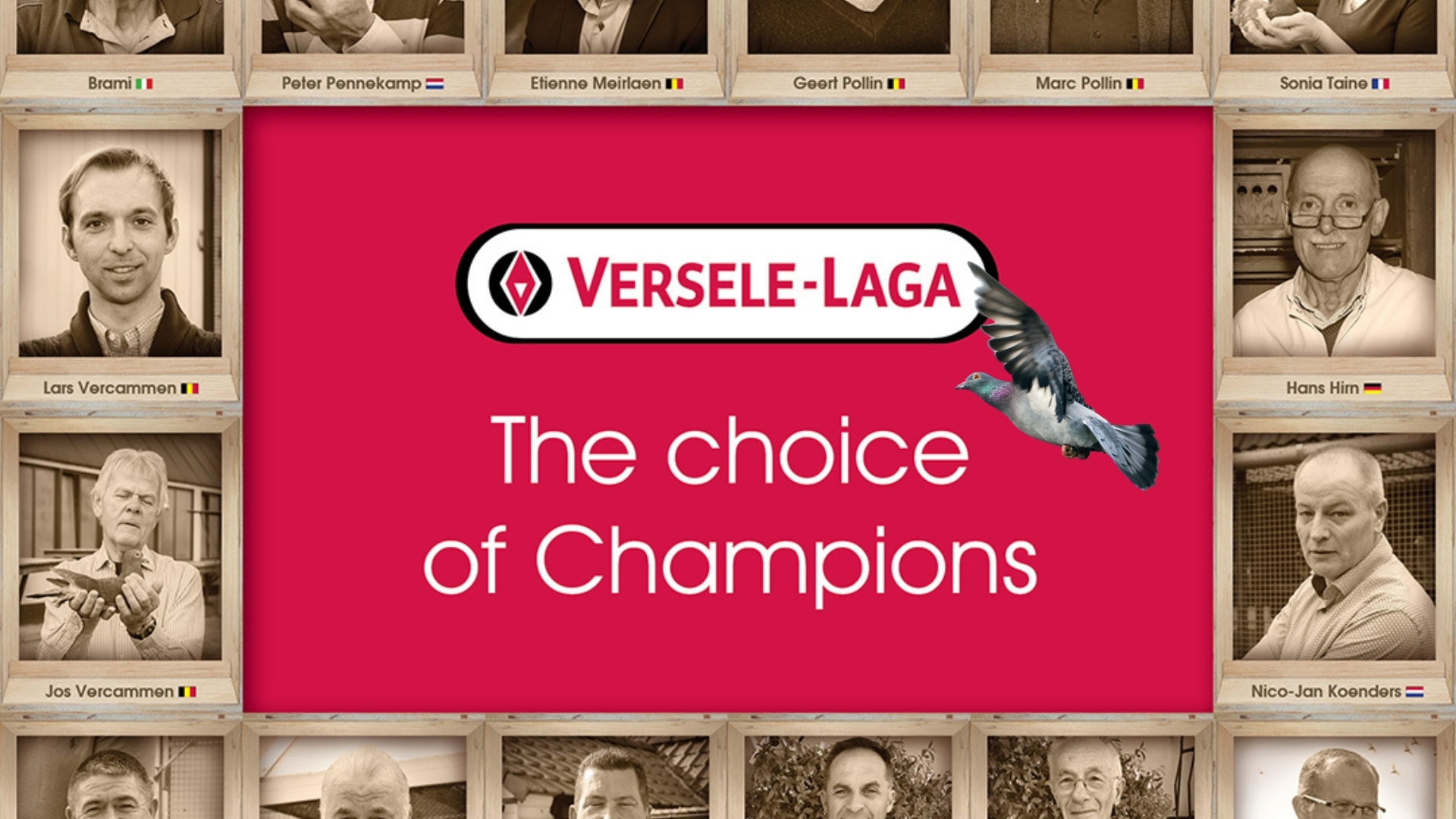 Social media growth through strategic content for Versele-Laga Pigeon.